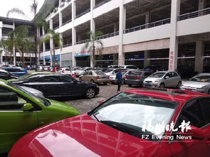 福州二手车市场遇冷 车价下滑，销量锐减，市场进入调整期